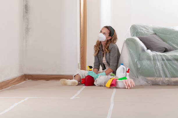 Reliable Black Mold Removal contractor in Ephrata, WA by WQB Mold Removal